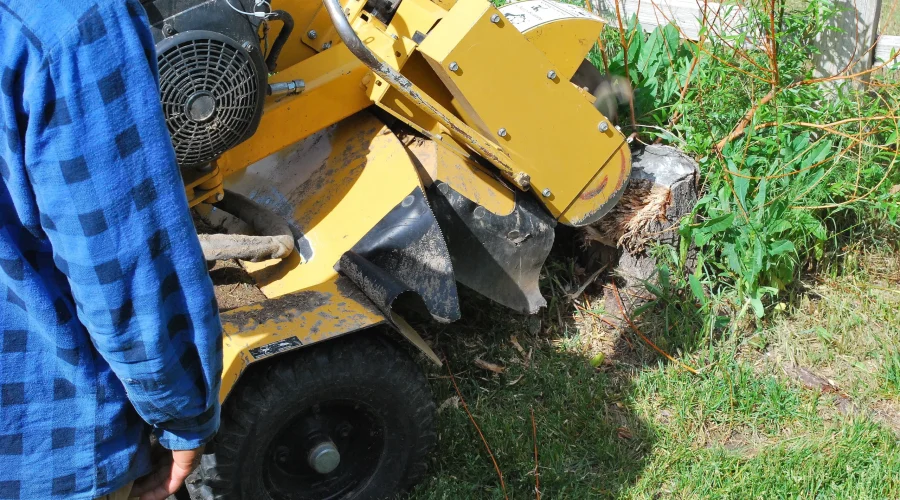 Stump Grinding