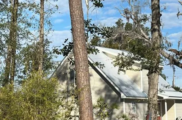 Tree Removal 05